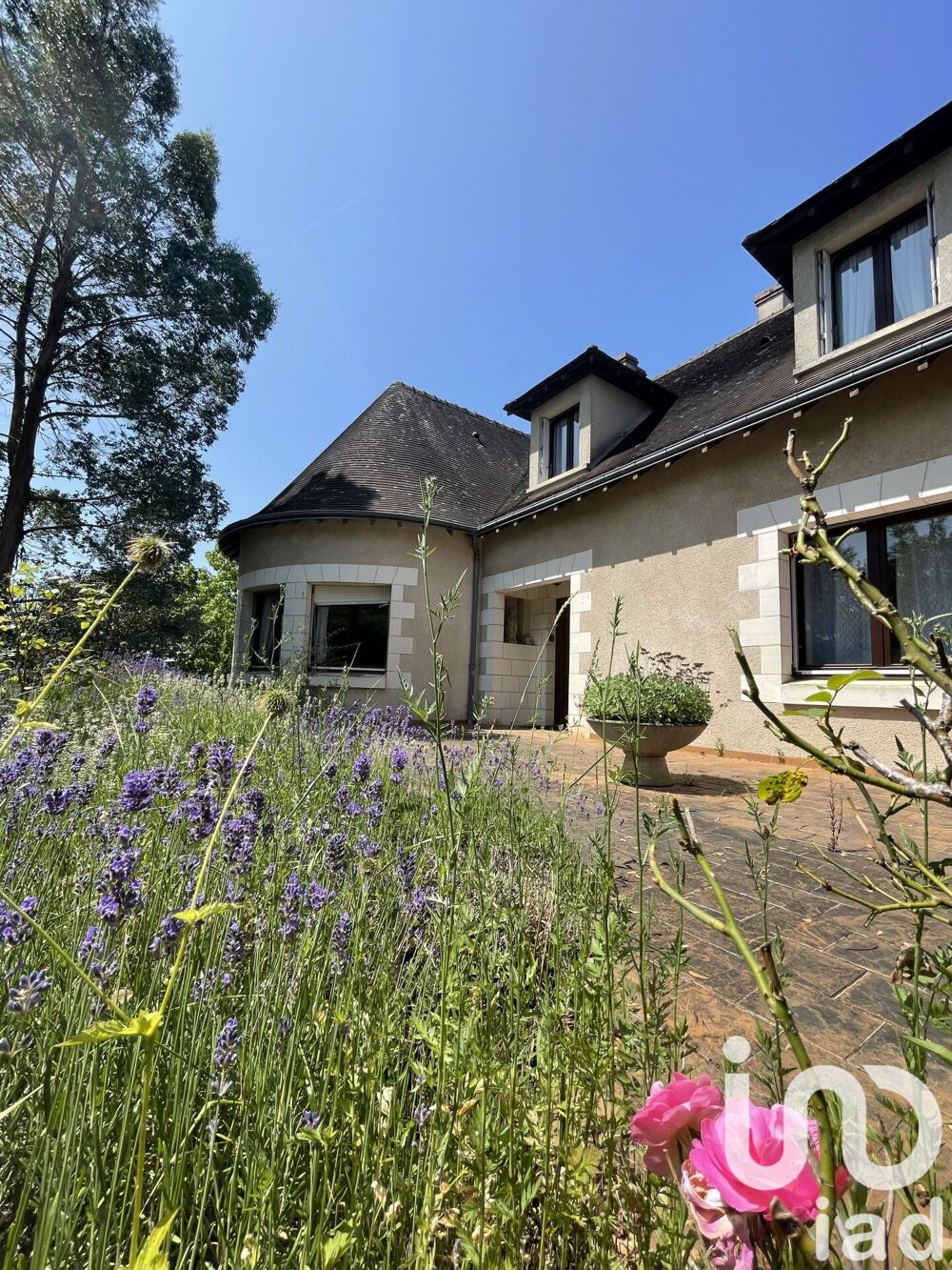 Vente Maison Vente Maison d'architecte 11 pièces Le blanc