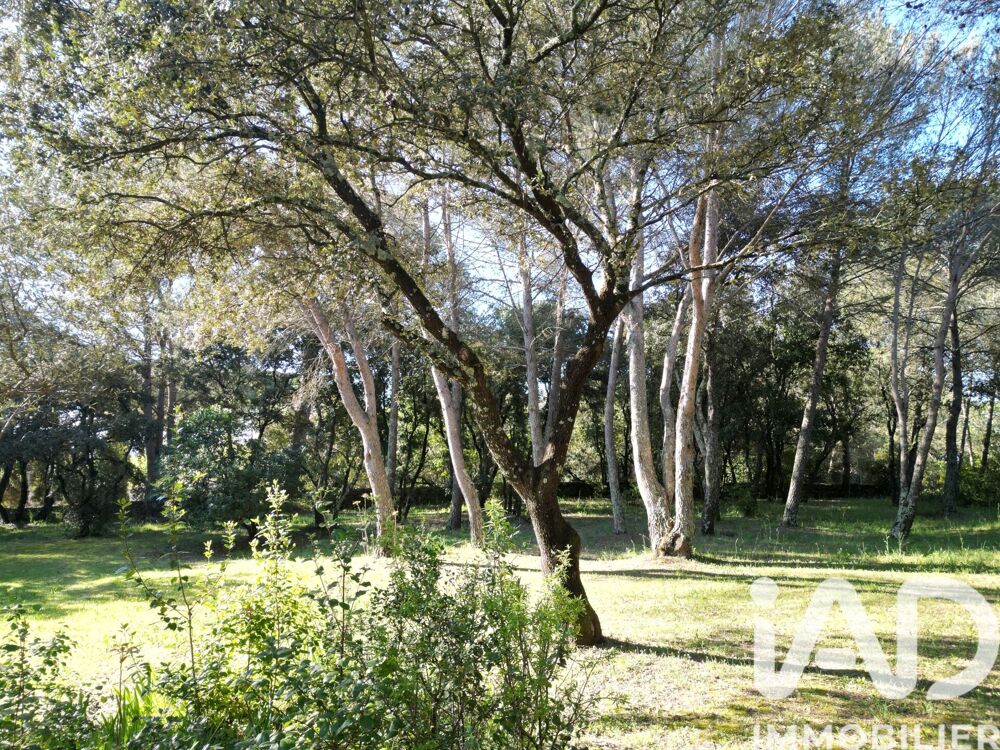 Vente Maison Vente Maison traditionnelle 5 pièces Uzès