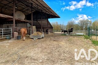  Maison à vendre 6 pièces 163 m²