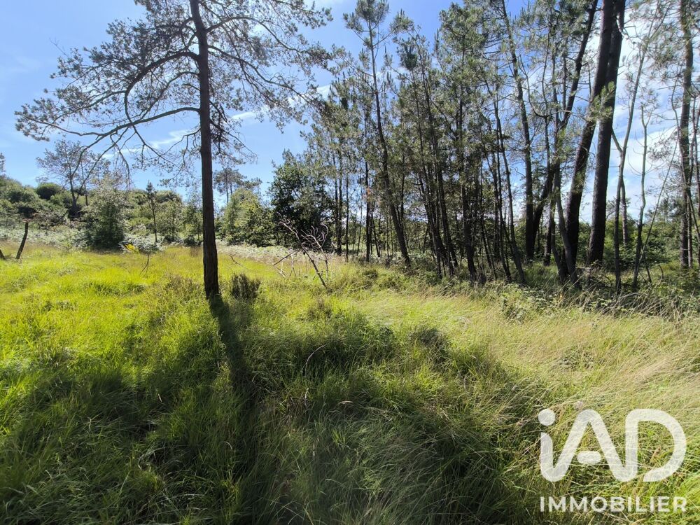 Vente Terrain Vente Terrain 40 720 m&sup2; Argol