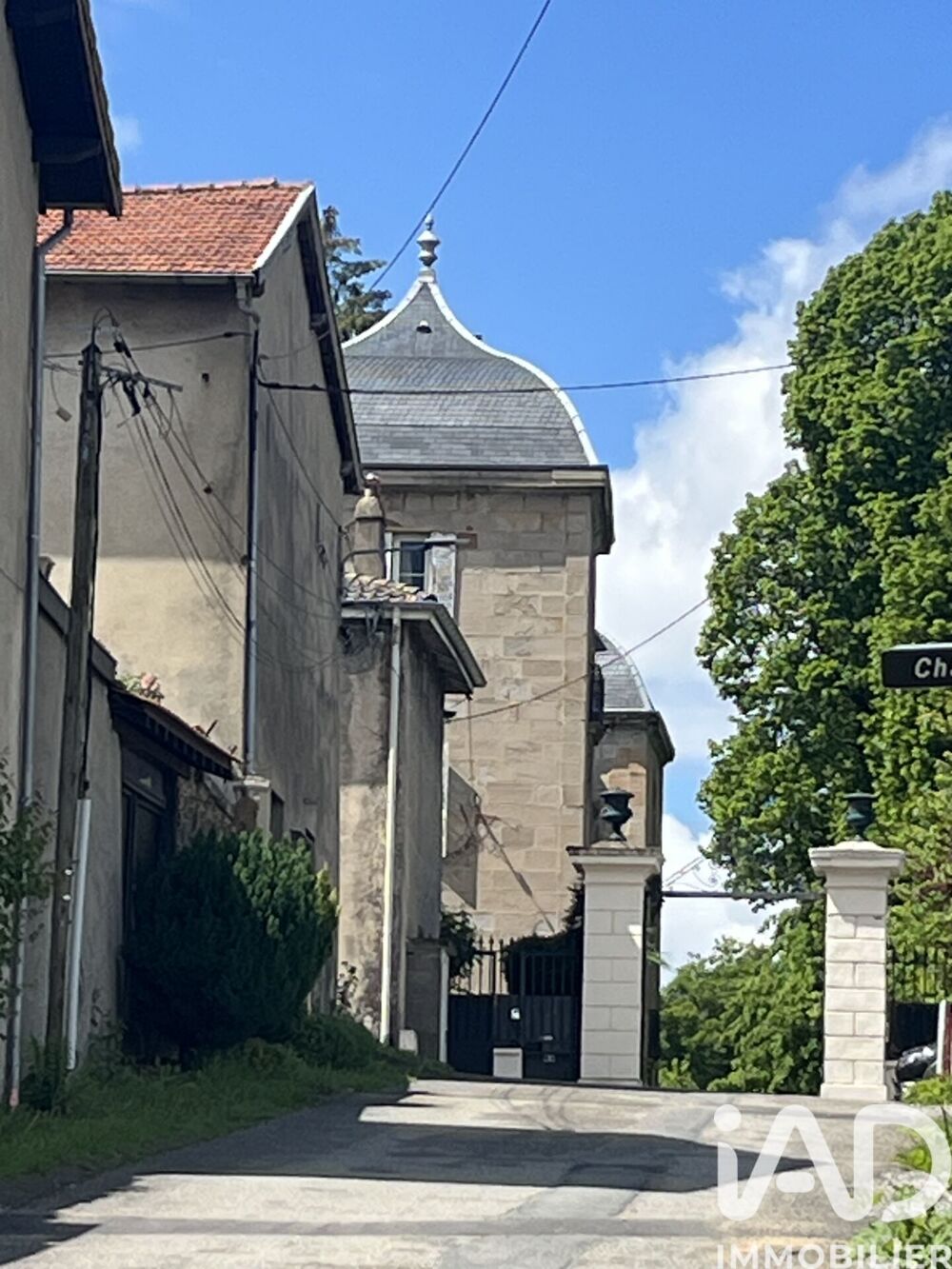 Vente Château 7 pièces