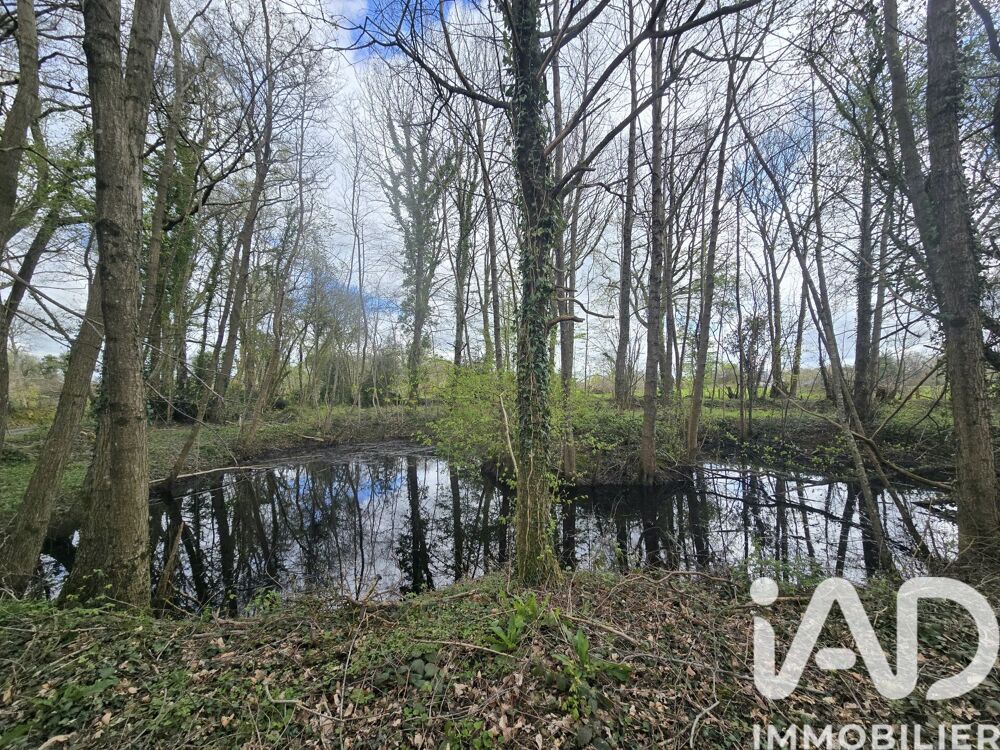 Vente Terrain Vente Terrain 4 454 m&sup2; Le theil-en-auge