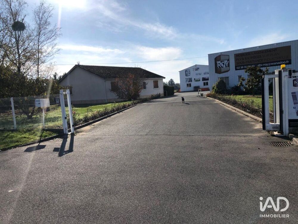   Vente Local d'activités 3 377 m&sup2; 