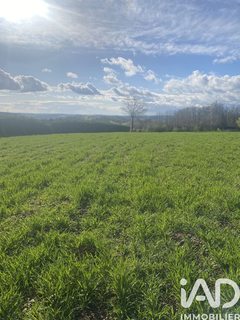 Vente Terrain Vente Terrain à bâtir 5 182 m&sup2; Saint-salvi-de-carcavès