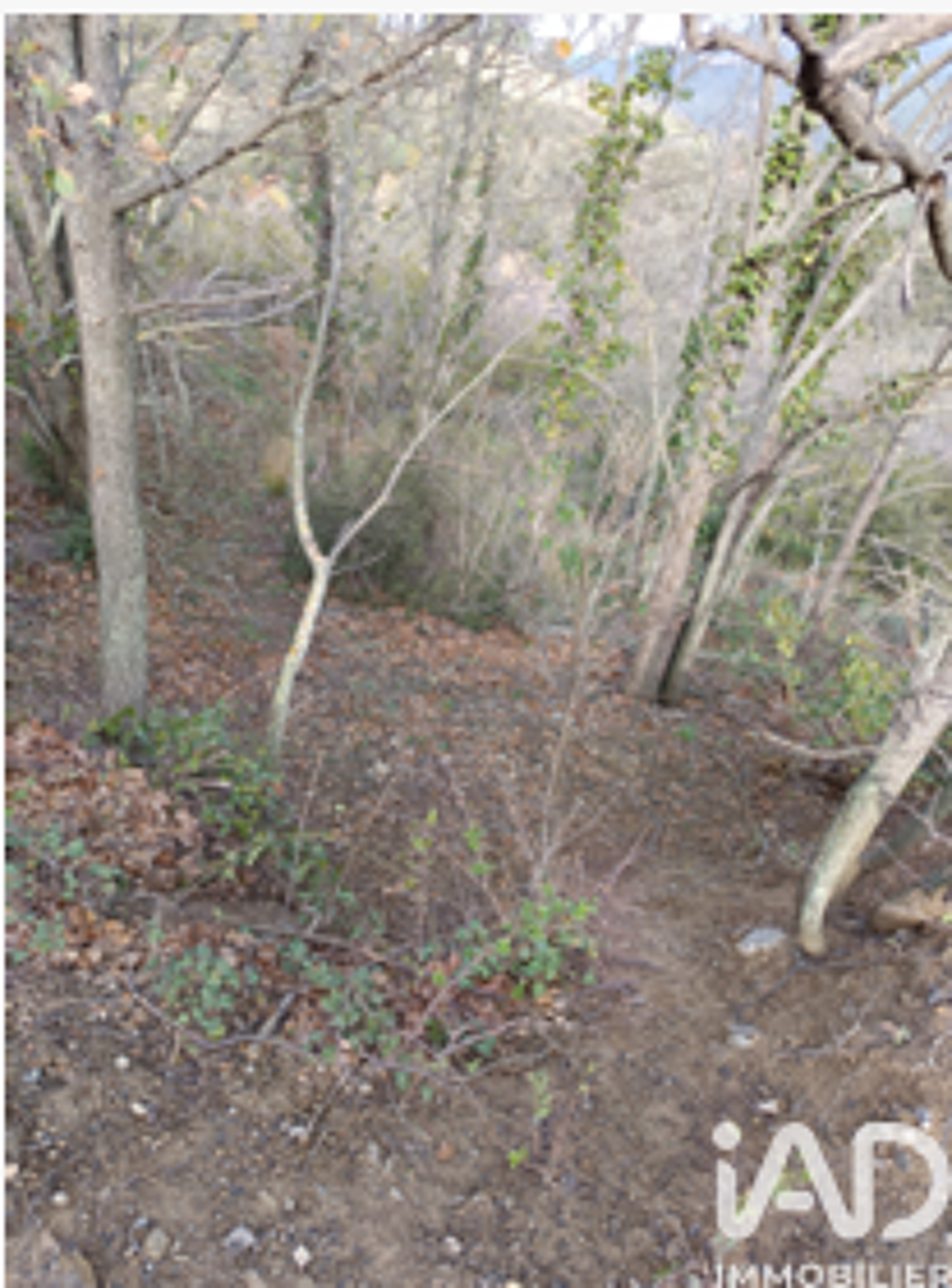 vente Terrain - 65360 m² Caramany (66720)