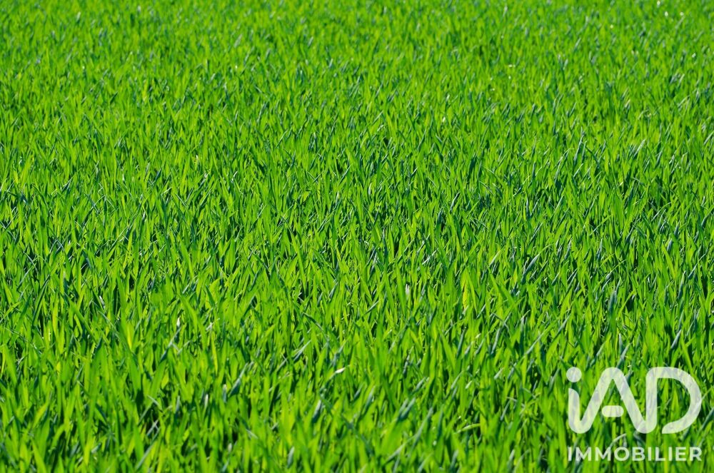 Vente Terrain Vente Terrain 529 m&sup2; Mandres-les-roses