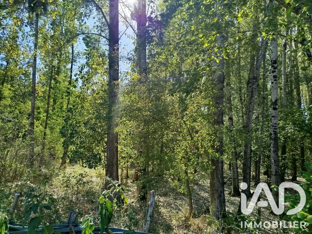 Vente Terrain Vente Terrain 11 930 m&sup2; Champigny-sur-veude