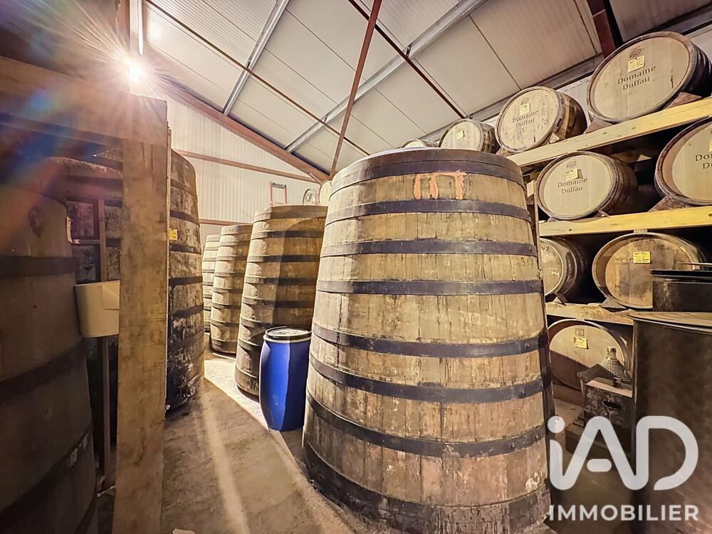 Vente Domaine 6 pièces