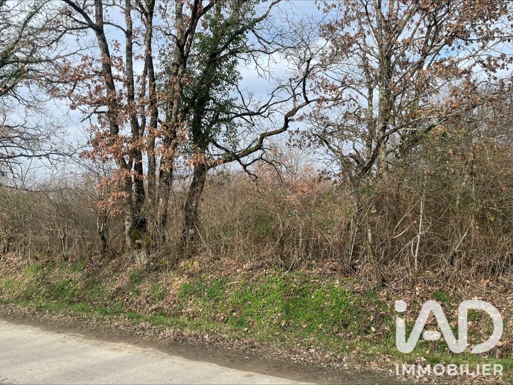 Vente Terrain Vente Terrain 7 042 m&sup2; Dunet