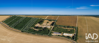 Vente Terrain Vente Terrain 11 299 m&sup2; Aumagne