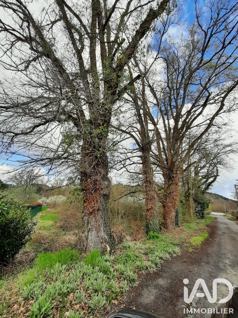 Vente Terrain Vente Terrain à bâtir 4 440 m&sup2; Mariol
