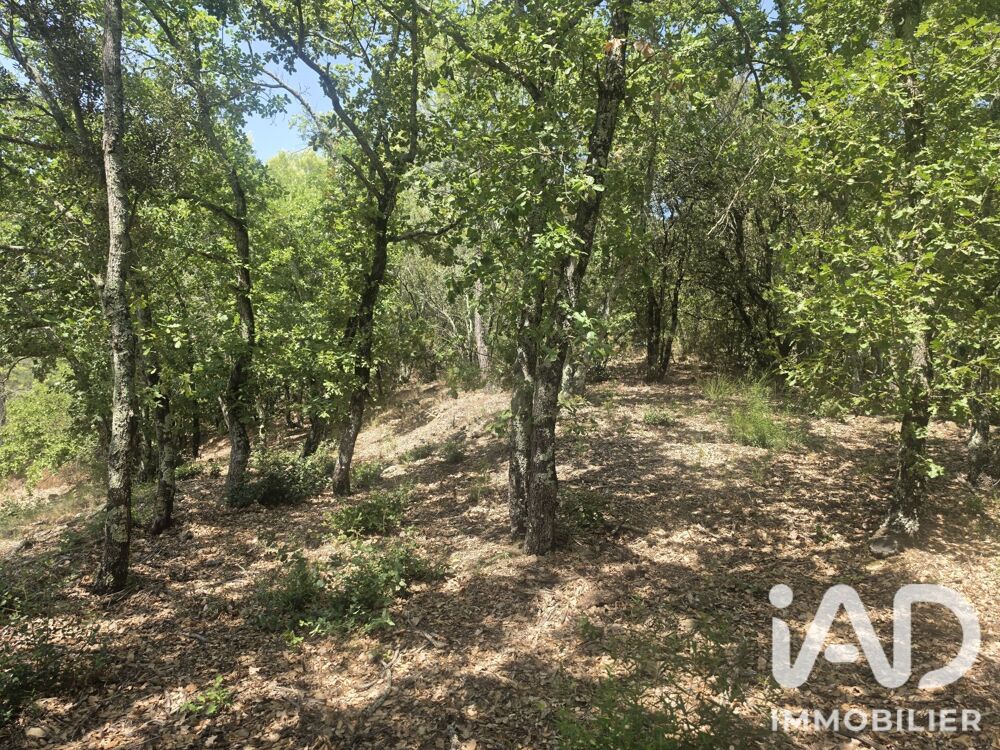 Vente Terrain Vente Terrain agricole 17 774 m&sup2; Reynés