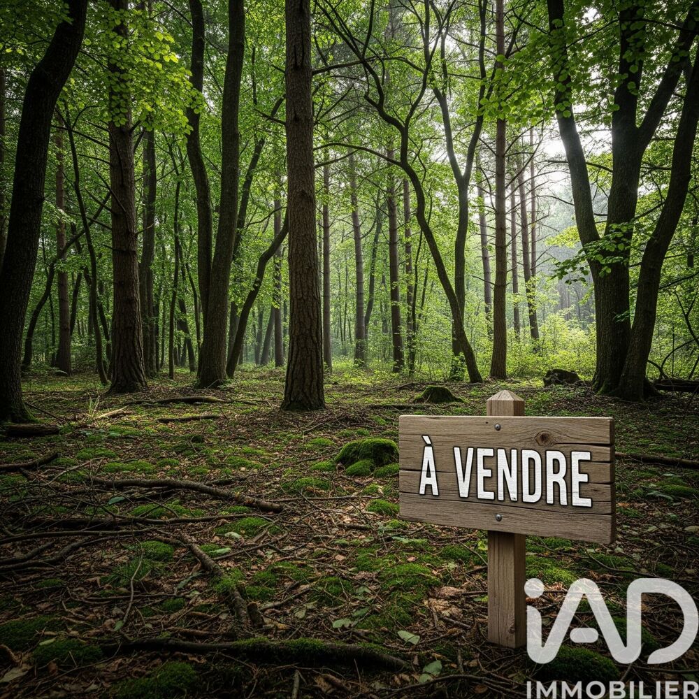 Vente Terrain Vente Terrain 13 940 m&sup2; Arsac