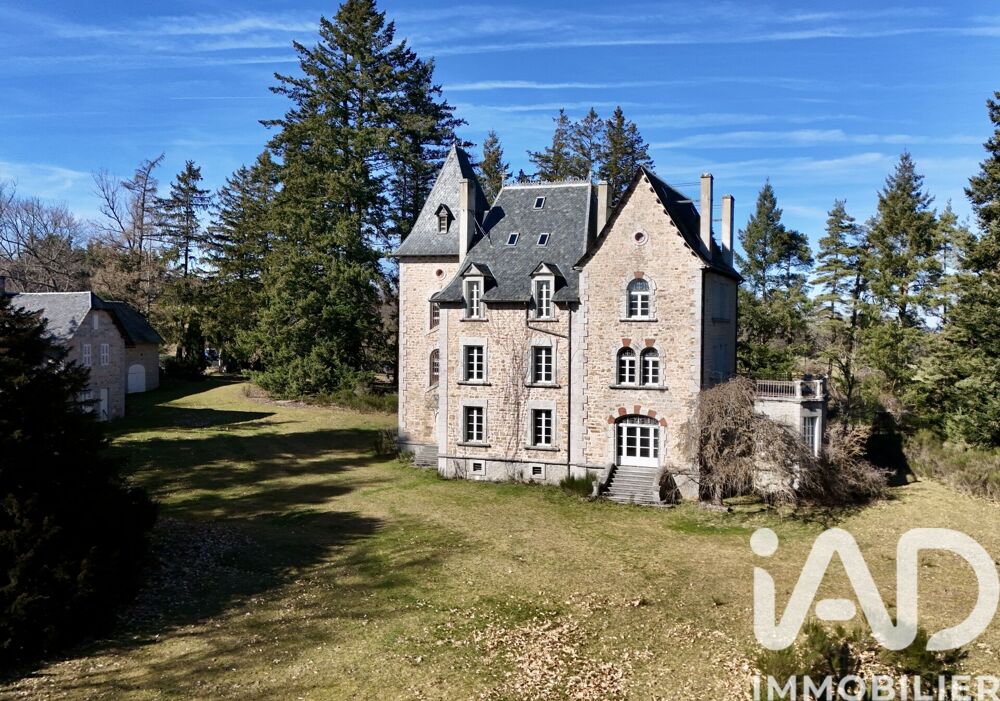 Vente Château 21 pièces