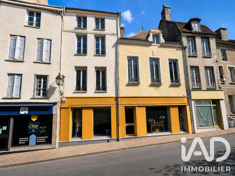 Vente Immeuble Vente Immeuble 265 m&sup2; Tonnerre