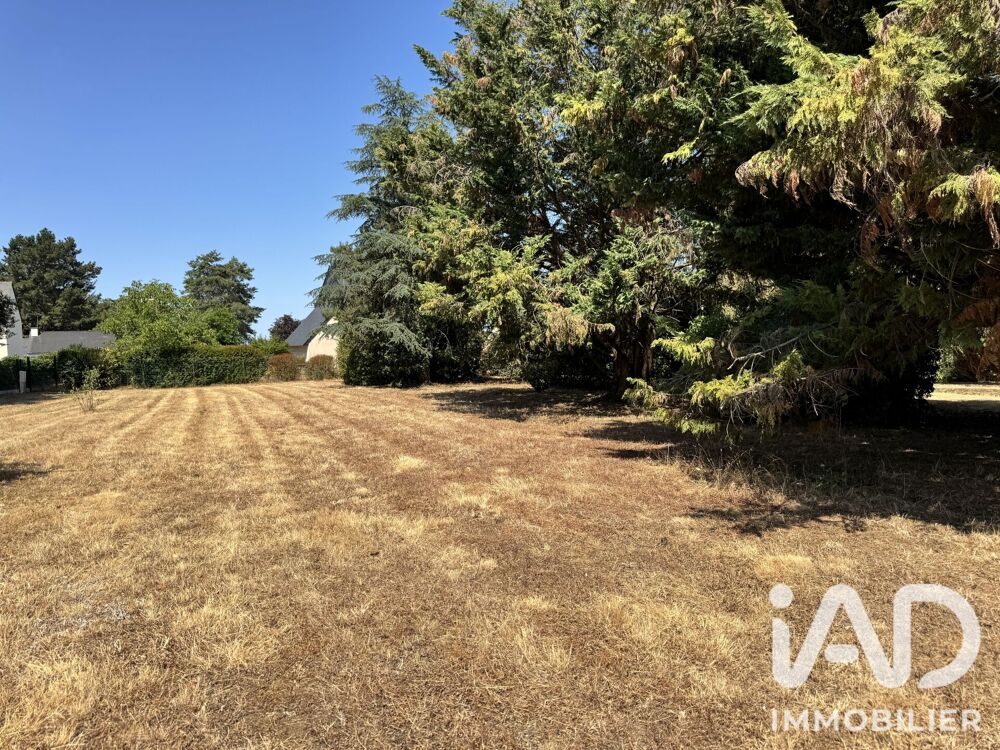Vente Terrain Vente Terrain à bâtir 1 624 m&sup2; Guémené-penfao