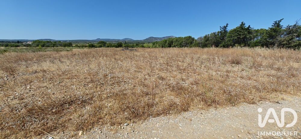 Vente Terrain Vente Terrain agricole 595 m&sup2; La palme