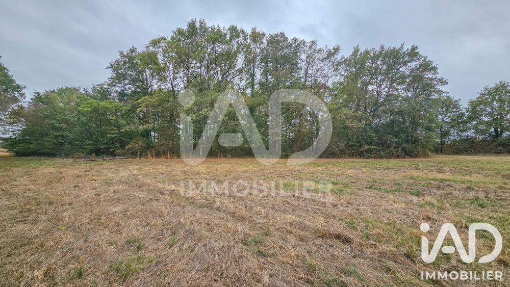 Vente Terrain Vente Terrain 60 000 m&sup2; Chailly