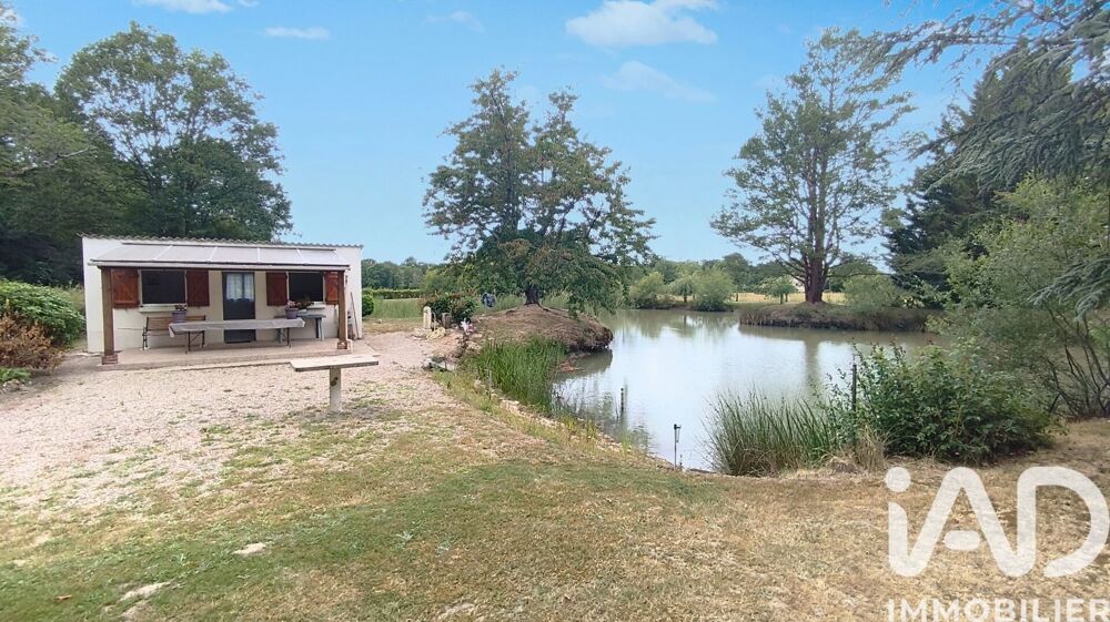 vente Terrain - 8000 m² Tendu (36200)