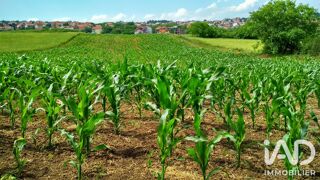  Terrain à vendre 600000 m²