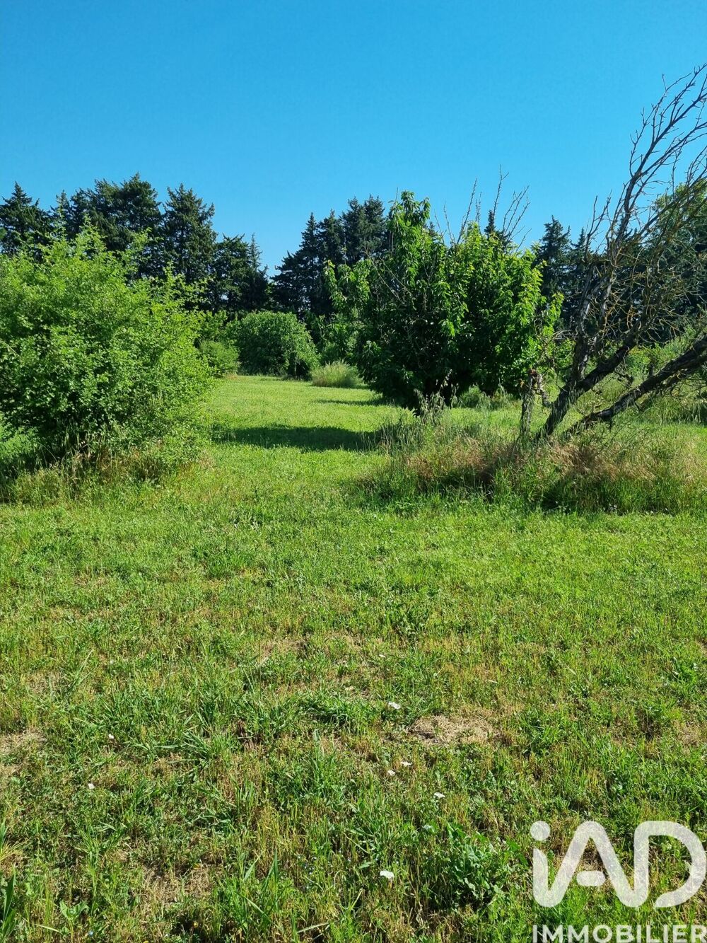 Vente Terrain Vente Terrain 1 476 m&sup2; L isle sur la sorgue