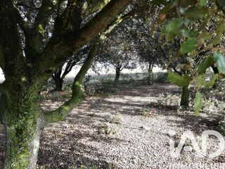  Terrain à vendre 1368 m²