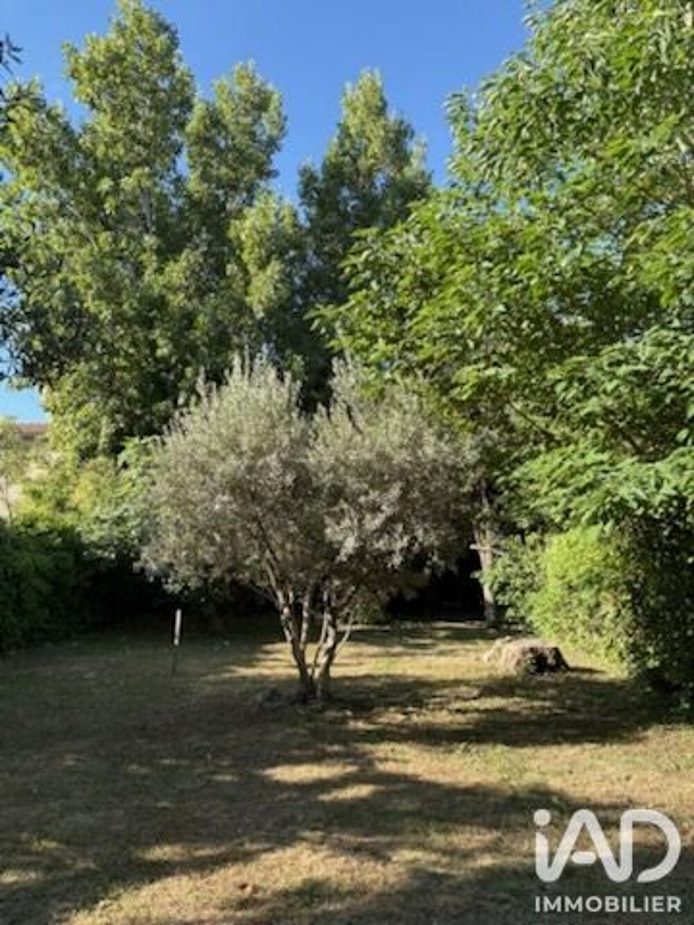 Vente Maison Vente Maison de ville 10 pièces Carpentras