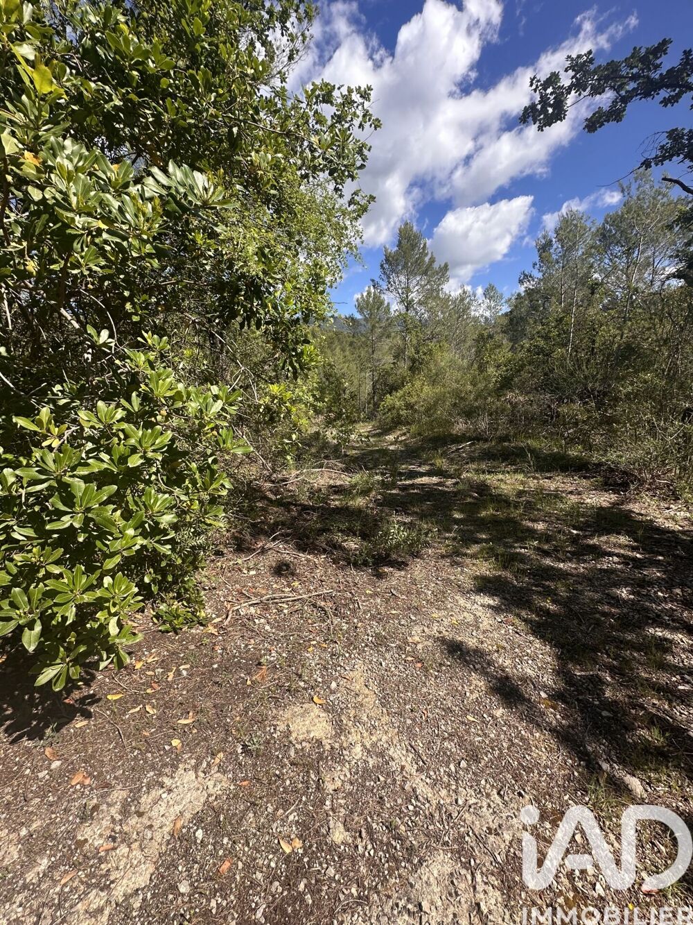 Vente Terrain Vente Terrain 19 030 m&sup2; Claviers