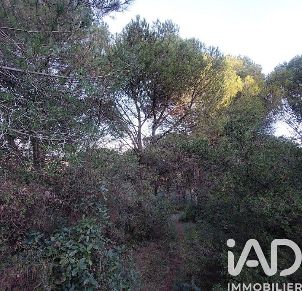 Vente Terrain Vente Terrain 4 965 m&sup2; Générac