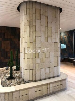  Appartement à louer 1 pièce 38 m²
