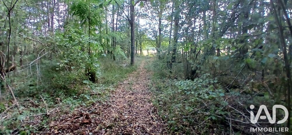 Vente Terrain Vente Terrain 3 306 m&sup2; Villemoutiers