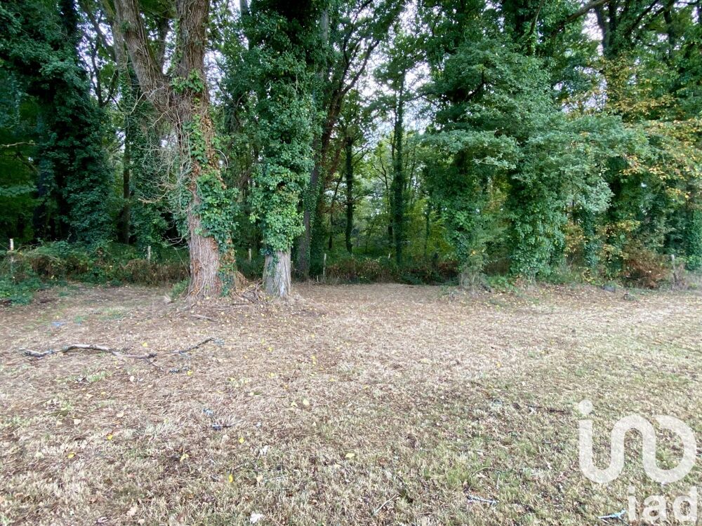 Vente Terrain Vente Terrain 949 m&sup2; Sainte-reine-de-bretagne