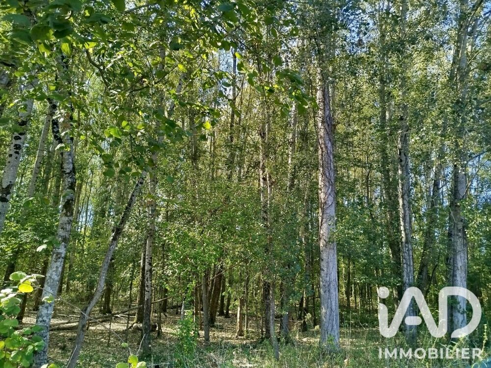 Vente Terrain Vente Terrain 11 930 m&sup2; Champigny-sur-veude