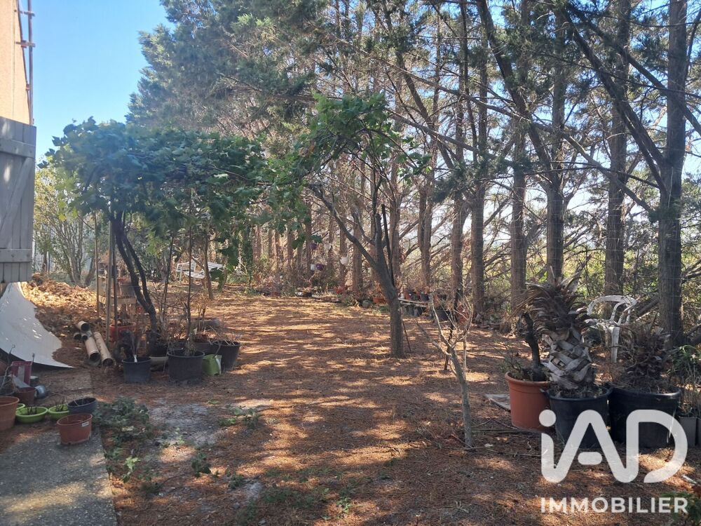 Vente Terrain Vente Terrain 1 707 m&sup2; Lézignan-corbières