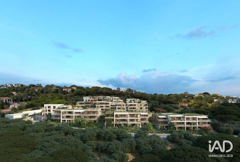 Vente Appartement Vente Appartement 3 pièces Calvi