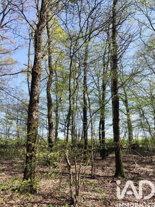  Terrain � vendre 6725 m�