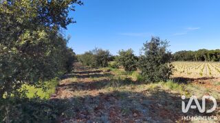  Terrain à vendre 4300 m²