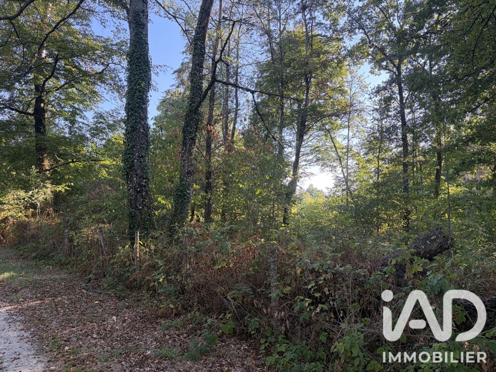 Vente Terrain Vente Terrain à bâtir 2 236 m&sup2; Feytiat