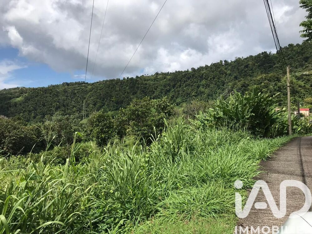Vente Terrain Vente Terrain 6 300 m&sup2; Gourbeyre