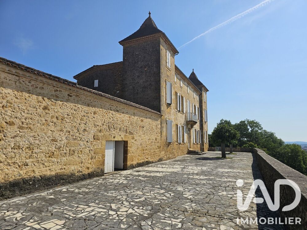 Vente Maison Vente Château 9 pièces Condezaygues