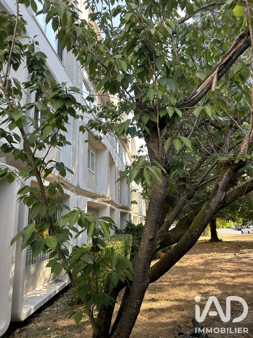 Vente Studio 1 pièce