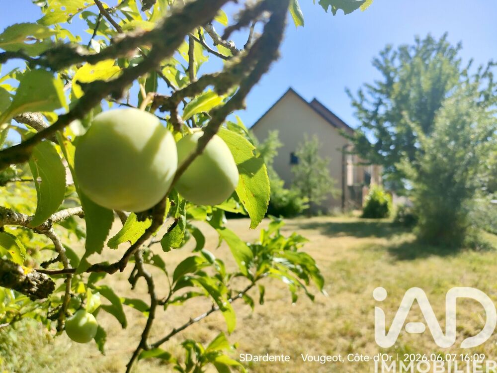 Vente Maison Vente Maison/villa 7 pièces Vougeot
