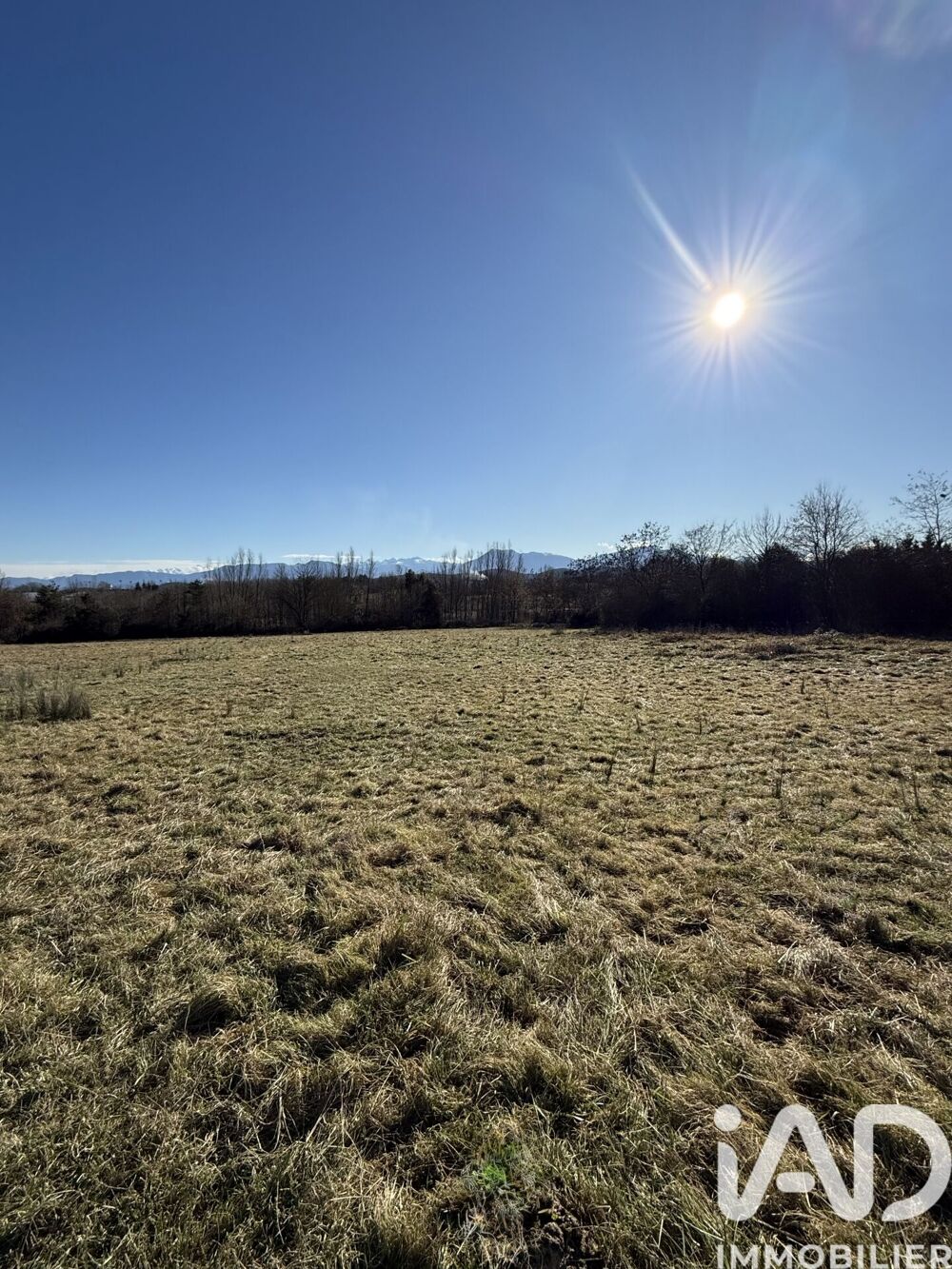 Vente Terrain Vente Terrain à bâtir 2 501 m&sup2; Saint-gaudens