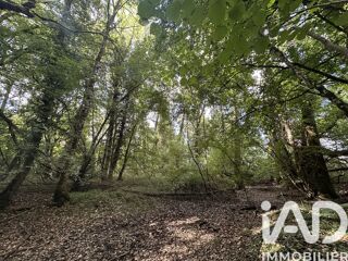  Terrain à vendre 11070 m²