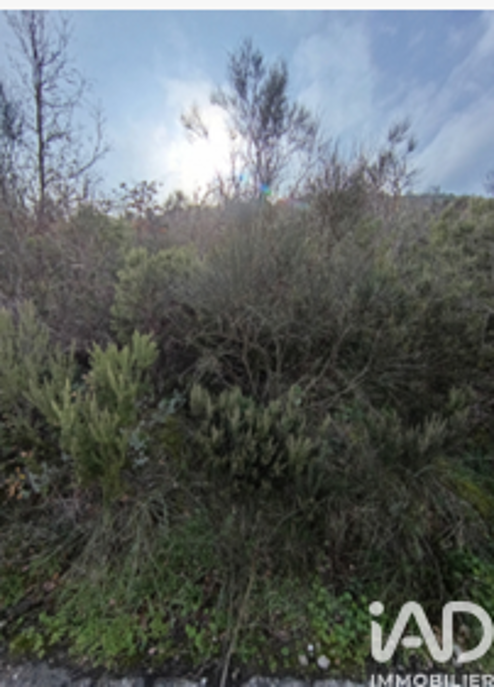 vente Terrain - 65360 m² Caramany (66720)