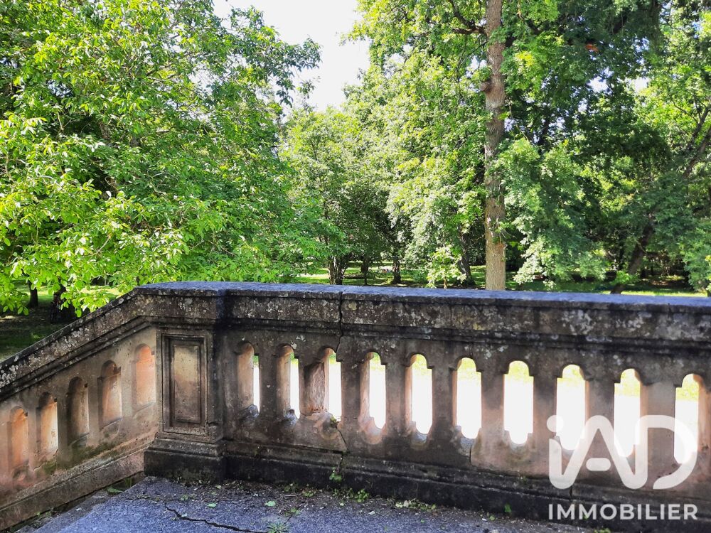 Vente Maison Vente Château 16 pièces Segonzac