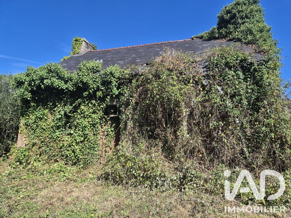 Vente Maison Vente Maison de campagne 3 pièces Locarn