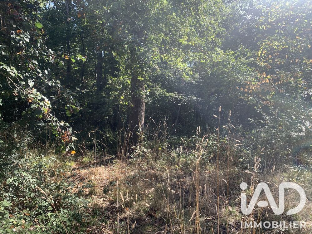 Vente Terrain Vente Terrain 33 331 m&sup2; Baudres