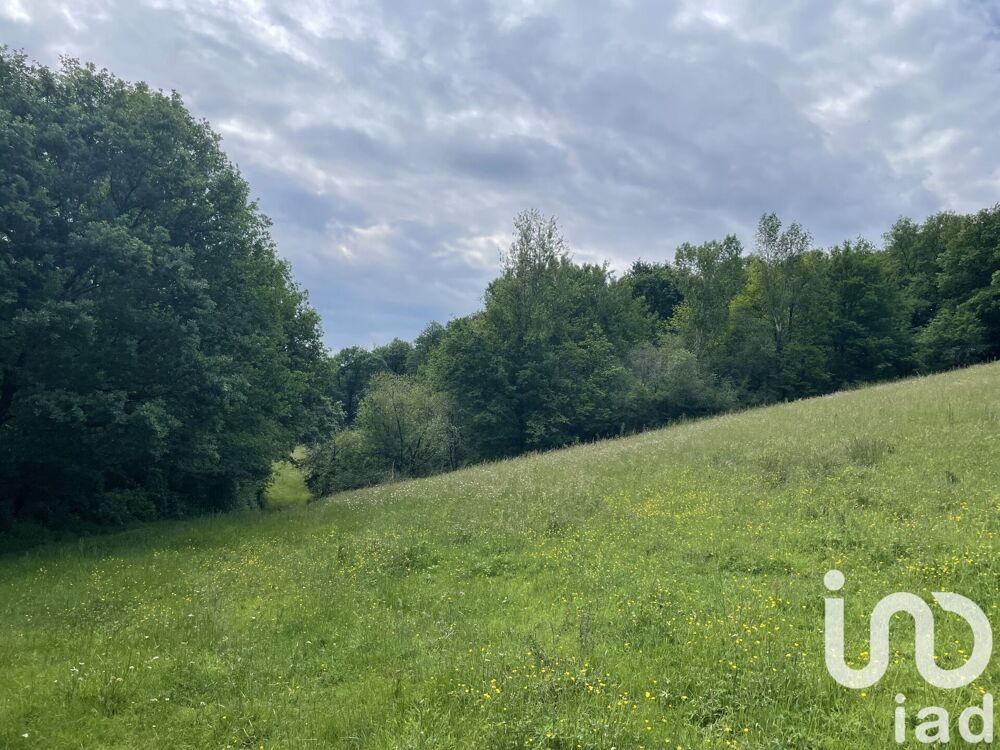 Vente Terrain Vente Terrain agricole 86 000 m&sup2; Lescure-d'albigeois
