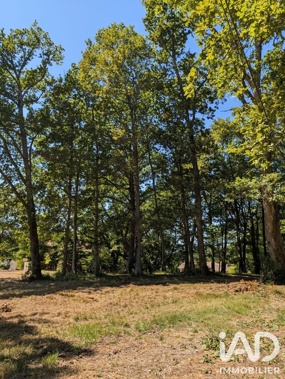 Vente Terrain Vente Terrain 1 016 m&sup2; Mouguerre
